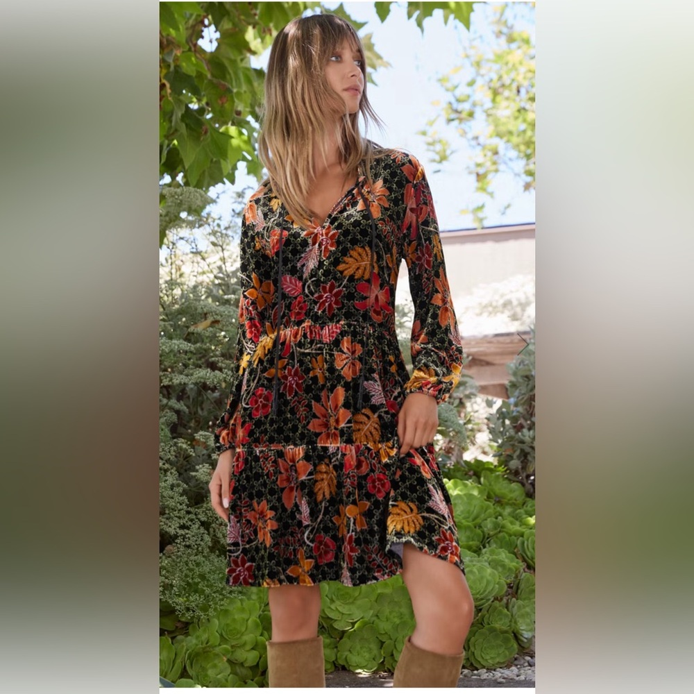 Johnny Was Silk Blend Jasmoon Flore Velvet Field Tiered Dress Tassels - Picture 5 of 11